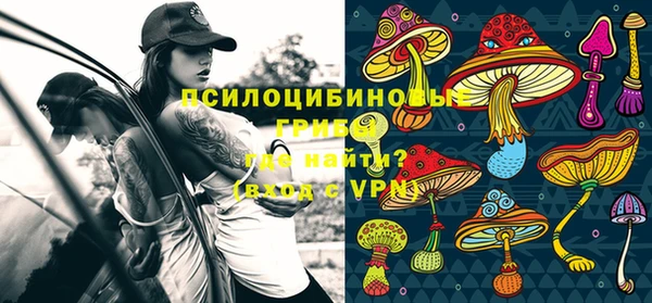 мескалин Инсар