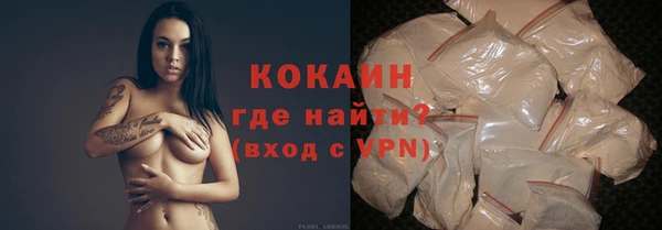 гидра Заводоуковск